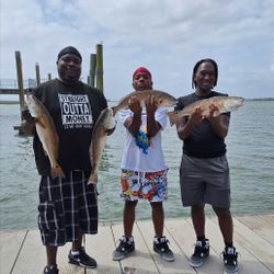 Fish-Species