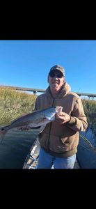 Fish-Species