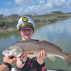 Fish-Species