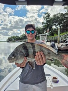 A fisherman holding a large black drum fish caught in SC