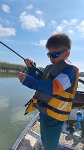 Angler fishing on Hilton Head Island