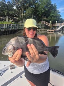 Black drum fishing in Hilton Head Island