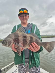A fisherman holding a large black drum fish on Hilton Head Island