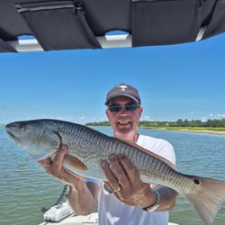 Redfish measuring 30 inches caught while fishing on Hilton Head Island