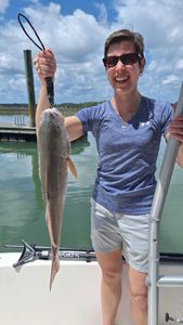 Angler landing a huge fish on Hilton Head Island