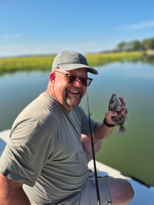 Nice pigfish caught jigging and trolling with light tackle in clear conditions!