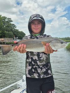 Redfish, 27-inch catch in SC