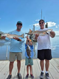3 Redfish and Black Drum caught in SC