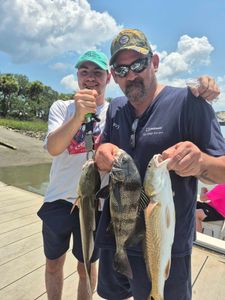 Three redfish and black drum caught while fishing in South Carolina