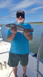 Redfish caught by one person on Hilton Head Island