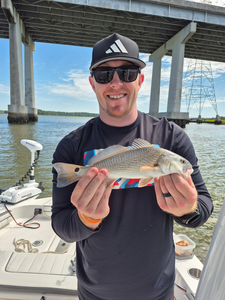 Nice redfish using light tackle jigging and trolling techniques!