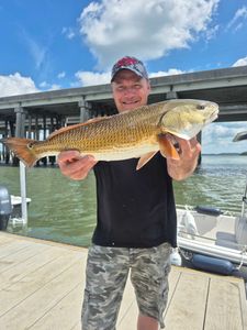 Redfish caught while fishing in SC
