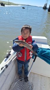 Redfish caught while fishing in SC