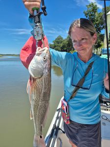 Photograph of a 24-inch redfish caught fishing in SC