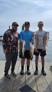 5 redfish caught on fishing trip in SC