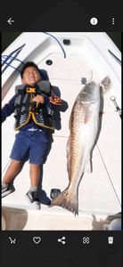 Redfish caught while fishing on Hilton Head Island