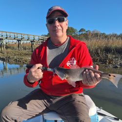 Redfish caught on Hilton Head Island