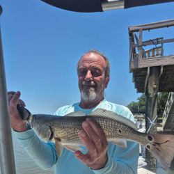 Redfish caught by angler on Hilton Head Island