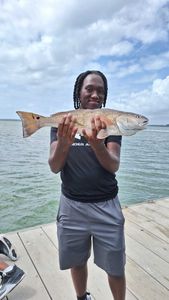 Redfish caught on fishing trip at Hilton Head Island