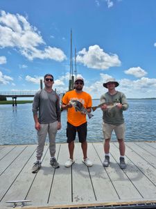 Two redfish caught on a fishing trip at Hilton Head Island