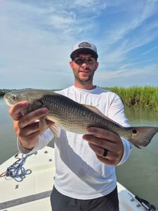 Redfish caught by angler on Hilton Head Island