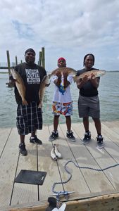 Four redfish caught on Hilton Head Island