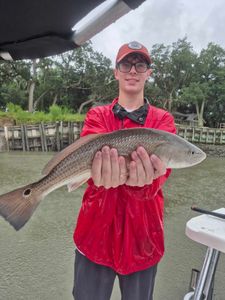 Redfish caught by angler at Hilton Head Island