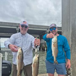 Three redfish caught while fishing in SC