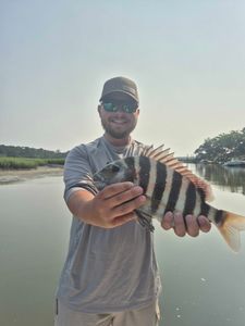Sheepshead fish caught while fishing in SC