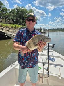 Lone angler fishing in SC