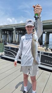 Spotted Weakfish caught while fishing in SC