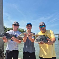 Three black drum fish caught while fishing in SC