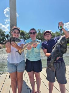 Three redfish and black drum caught in South Carolina