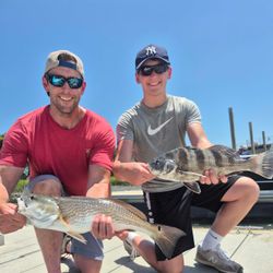 Two black drum and redfish caught in South Carolina