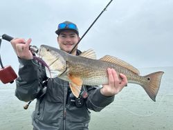 Redfish caught in Galveston, Texas