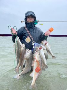 Three redfish caught by angler in Galveston