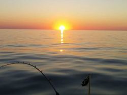 Explore the Beauty of Lake Ontario