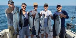 5 chinook salmon caught during fishing in Kent