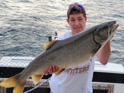 Lake Trout Extravagance In Lake Ontario