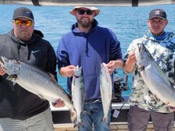 Four rainbow trout caught while fishing in Kent