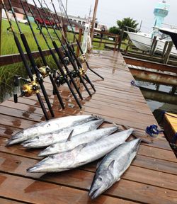 Tuna fishing near Atlantic Beach NC