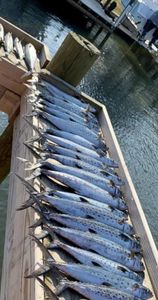 Fisherman casting a line in Morehead City
