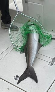Fishing in Fort Pierce
