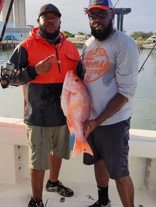 Grey Snapper, a 20-inch fish caught while fishing in FL