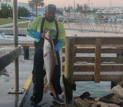 Cobia Magic in Fort Pierce FL