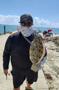 Founded a Flounder.