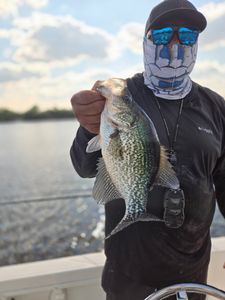 Crappie fishing in Fort Pierce