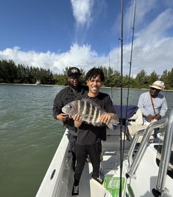 Sheepshead fish caught while fishing in FL