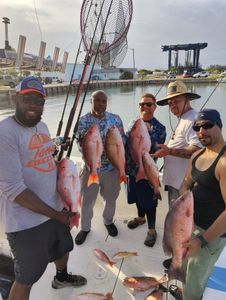 4 grey snapper caught while fishing in FL