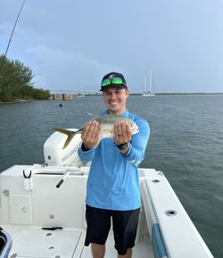 Angler fishing in Florida